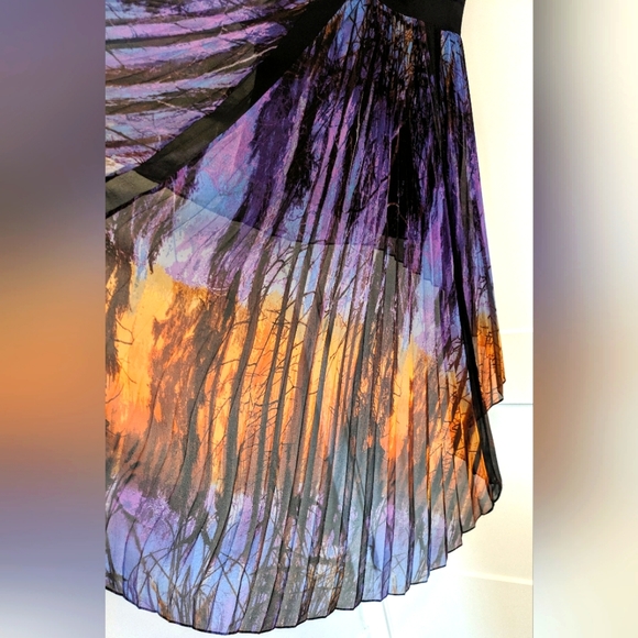 Bebe High-Low Maxi Chiffon Dress - Picture 5 of 5